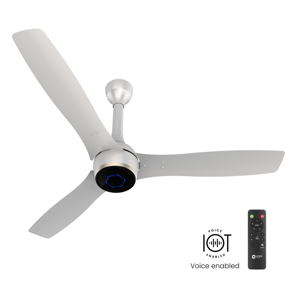 1200MM Platinum Gold