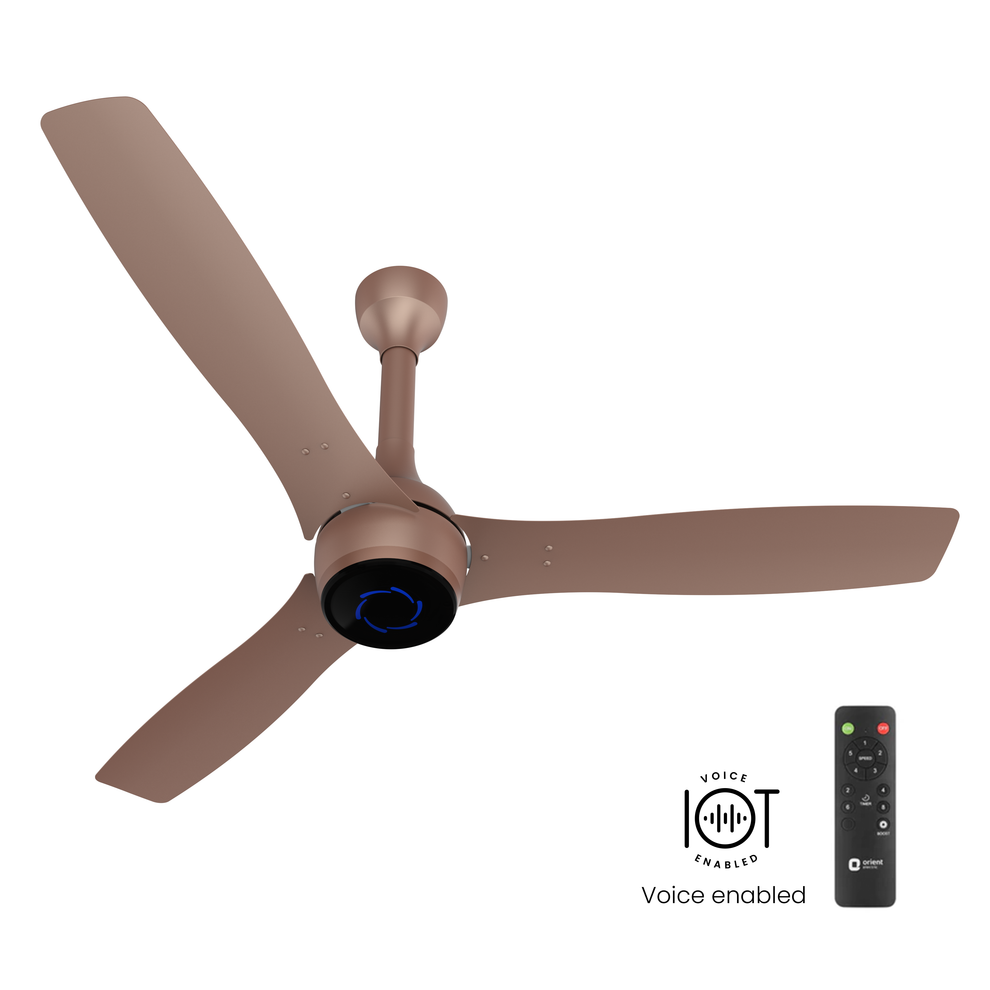 1200MM Tangerine Brown