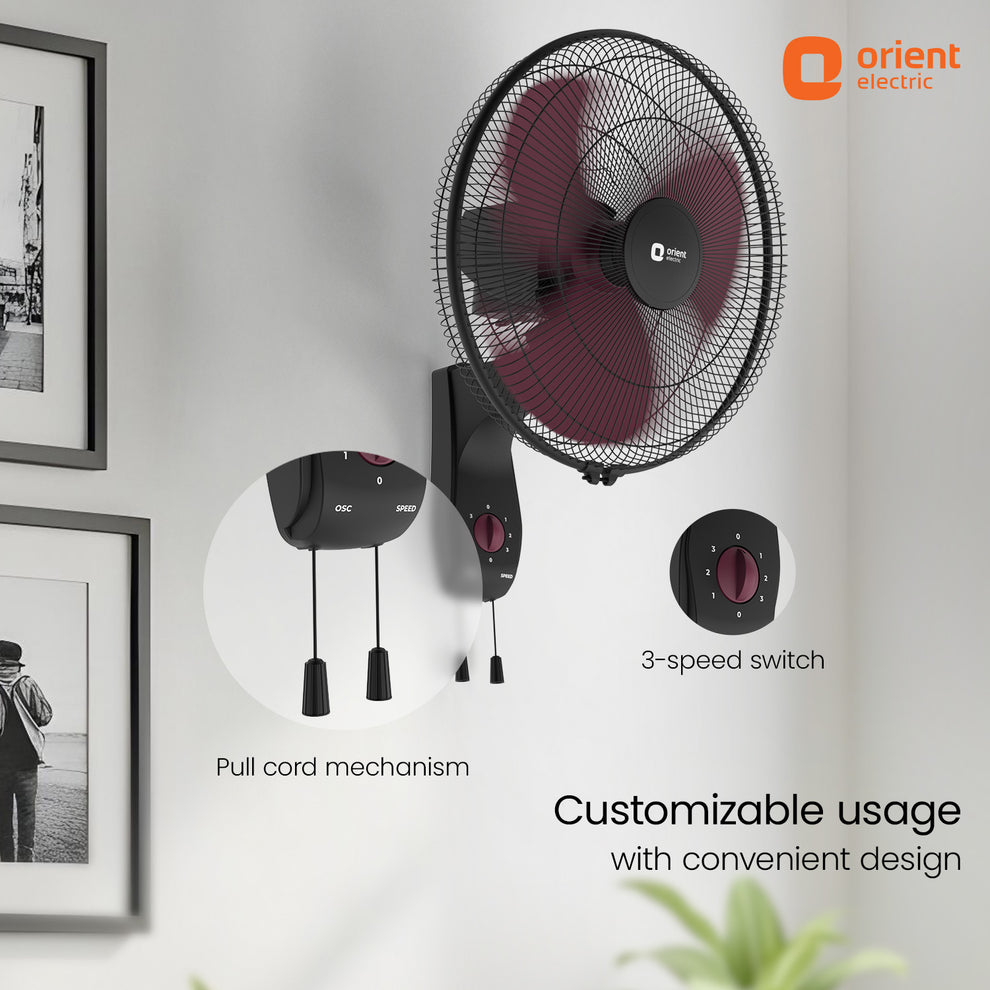 Crimson Red Wall Fan Orient