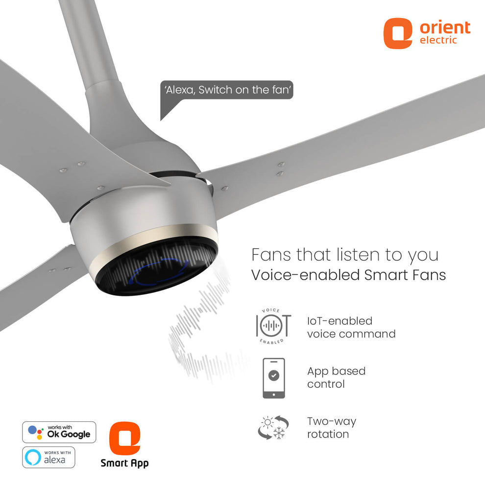 1200MM Platinum Gold