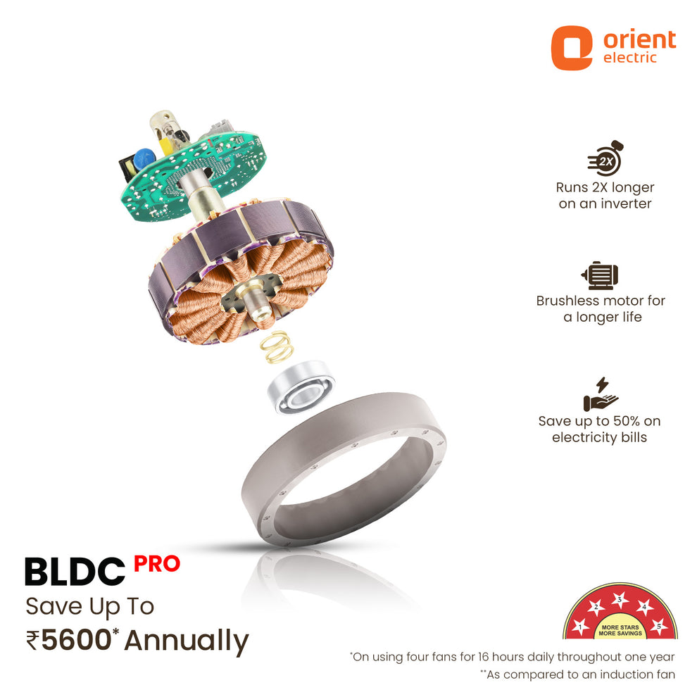 1200MM Honeymaple Wood