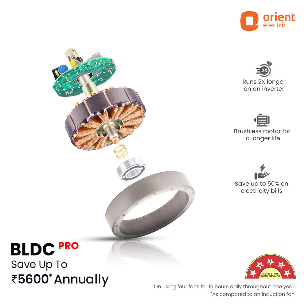 1200MM Platinum Gold