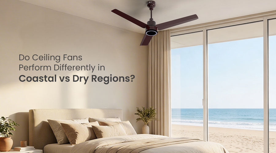 Do Ceiling Fans Perform Differently in Coastal vs Dry Regions?