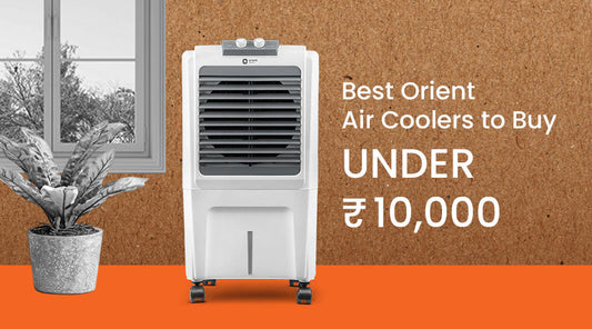 Best Cooler Under 10,000 That Actually Beats the Heat