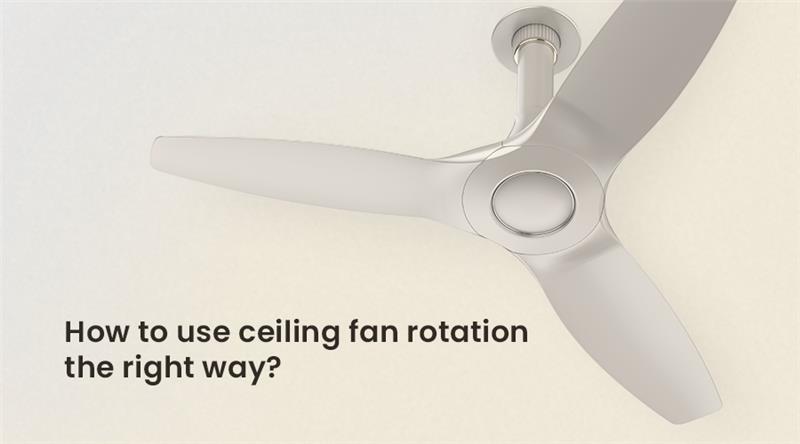 How to Use Ceiling Fan Rotation the Right Way for Every Season