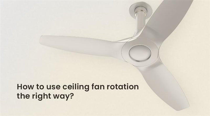 Ceiling Fan vs Table Fan: Which One Suits Your Space Better?