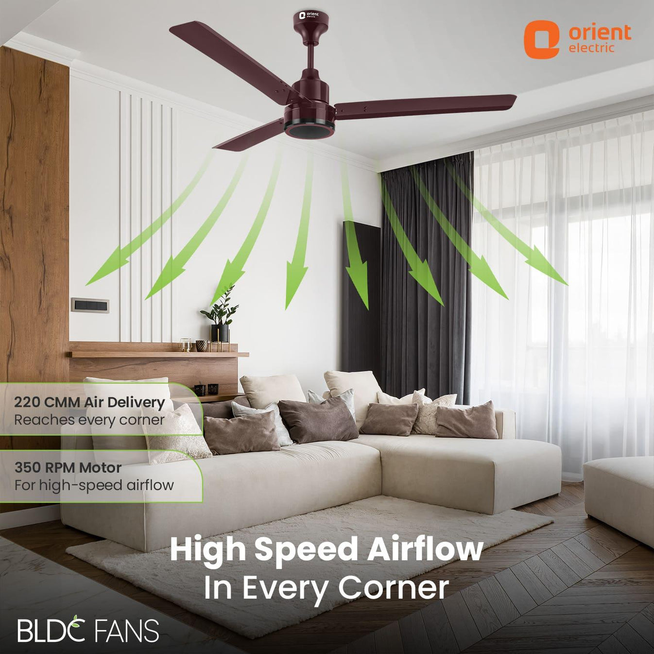 Buy 1200mm Ecotech Prime BLDC 5 Star Rated Ceiling Fan With Remote ...