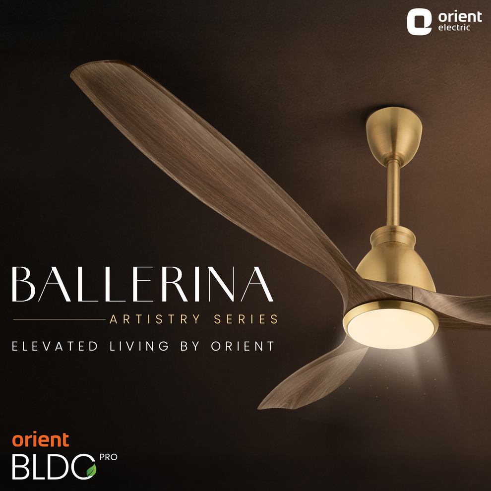 Honey Maple Wood Ballerina