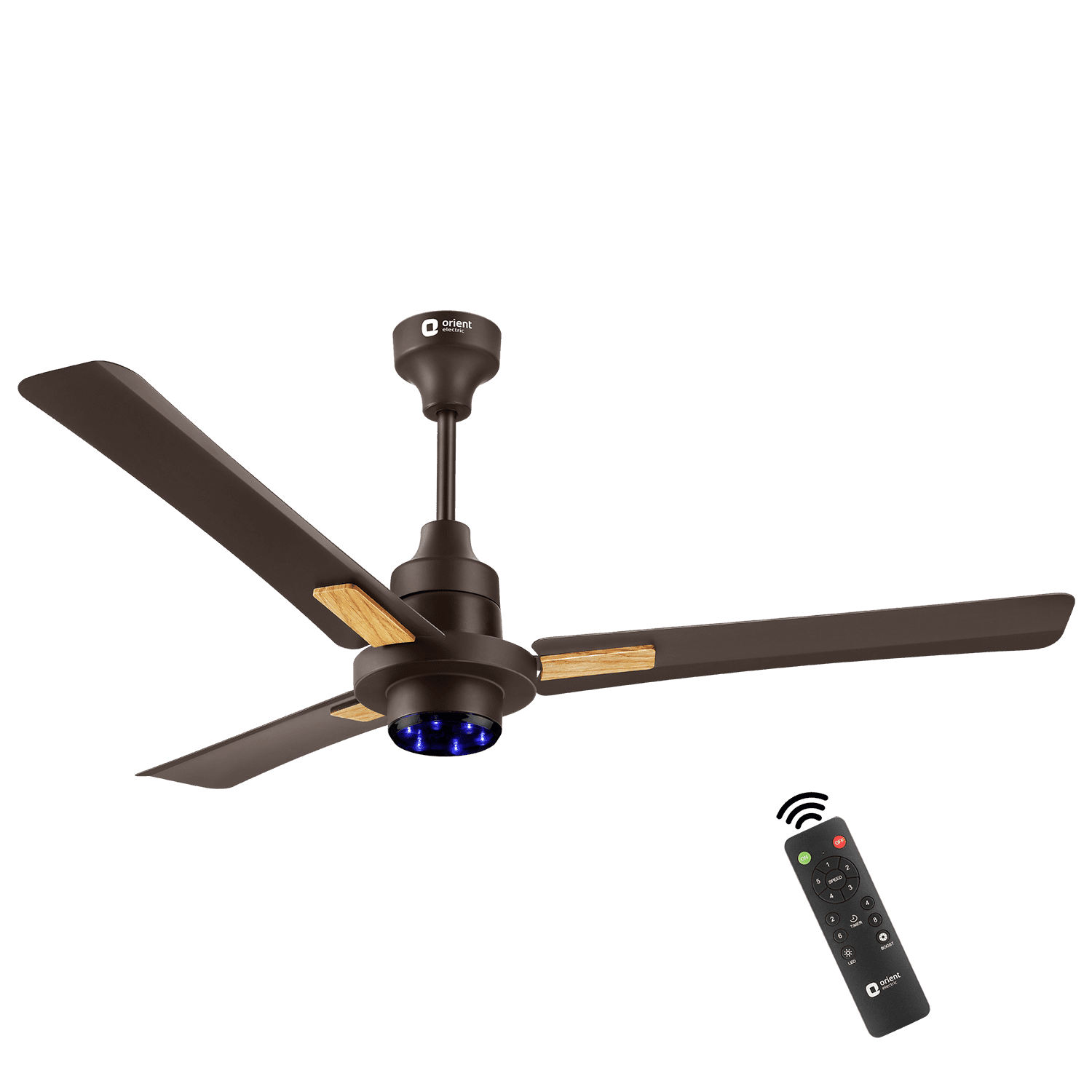 Ceiling Fan vs Table Fan: Which One Suits Your Space Better?