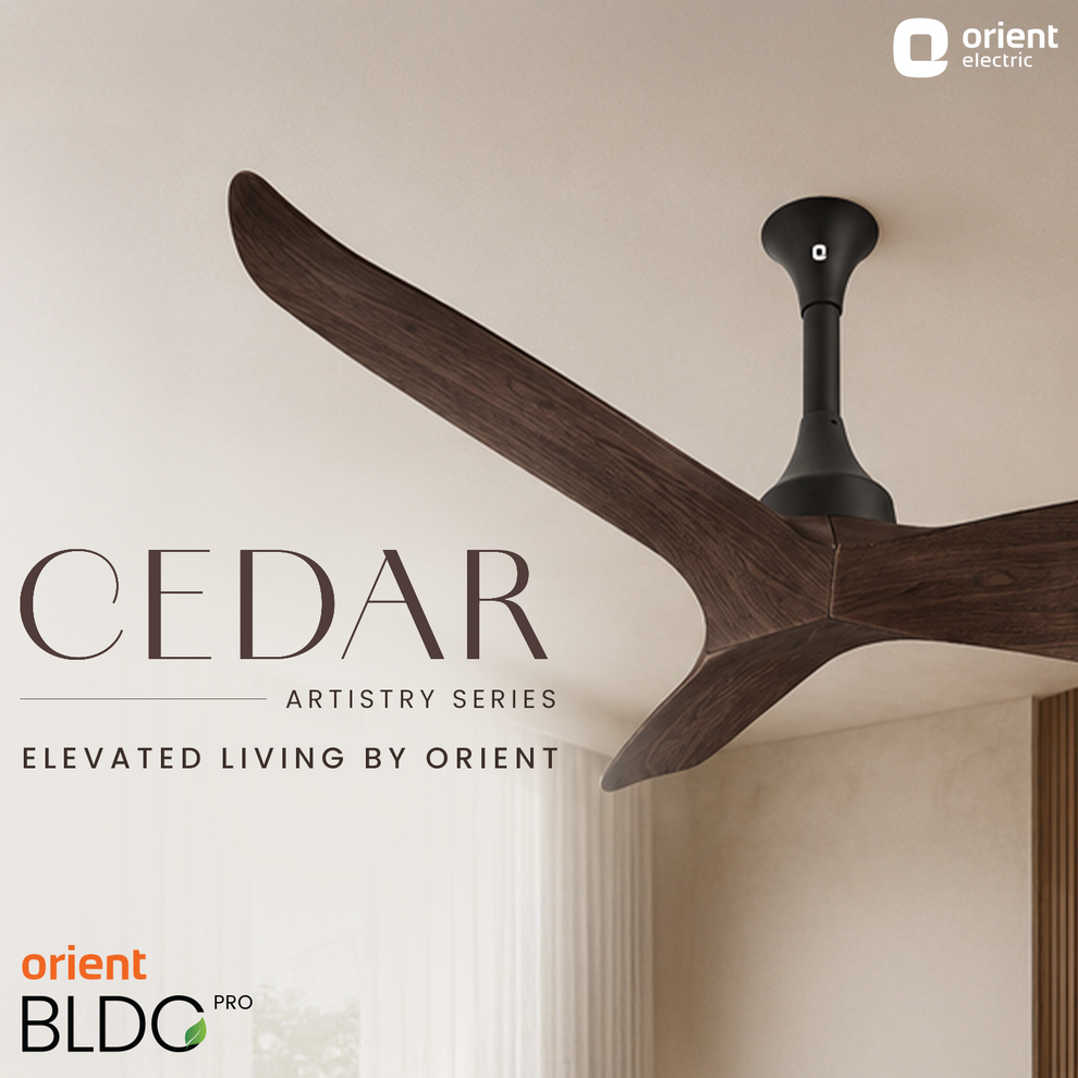 Dark Teak Wood Cedar