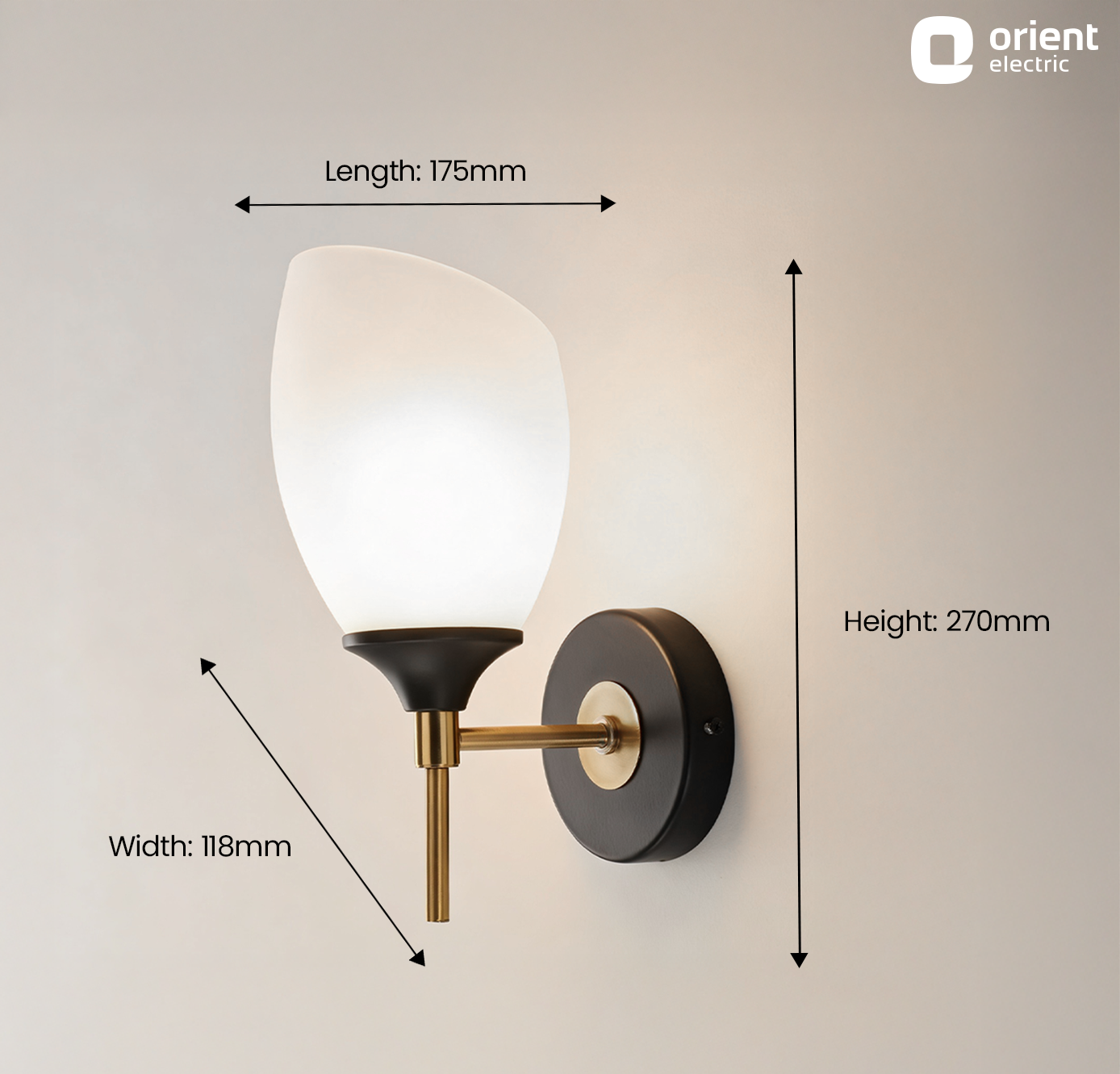 Single Raya Candle Wall Light
