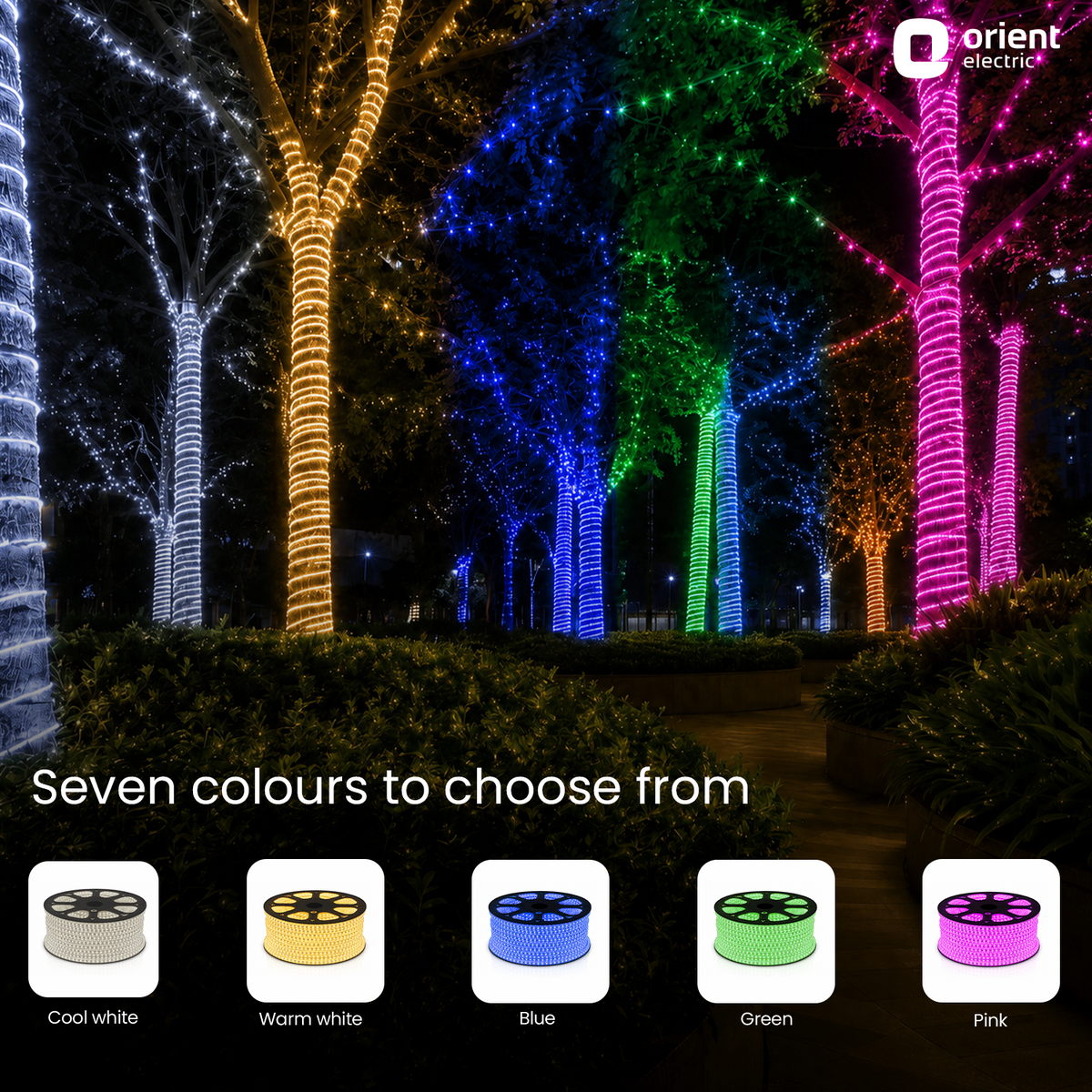 50m 60 LED Blue led rope light seven colours to choose from