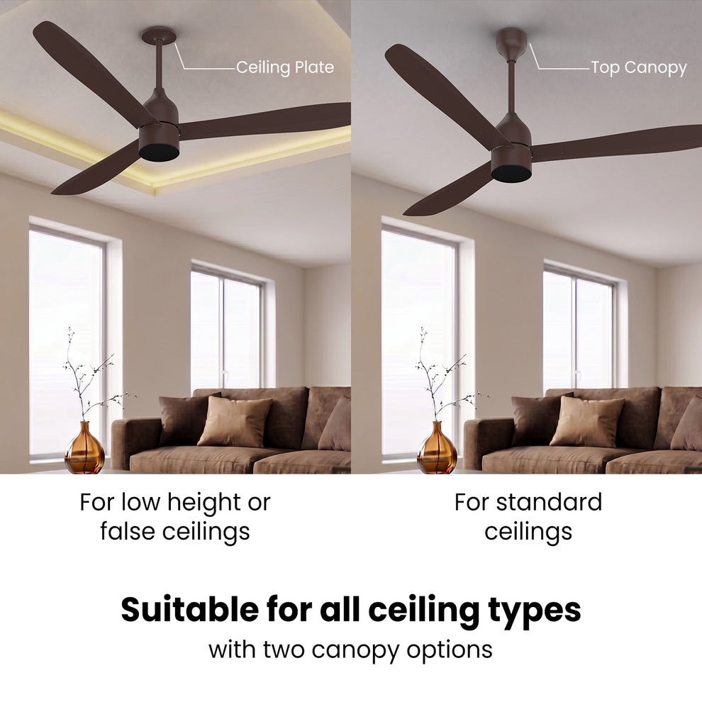 Chocolate Brown Ecotech Slim