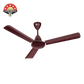 1200mm Brown