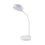 Desk Lamps