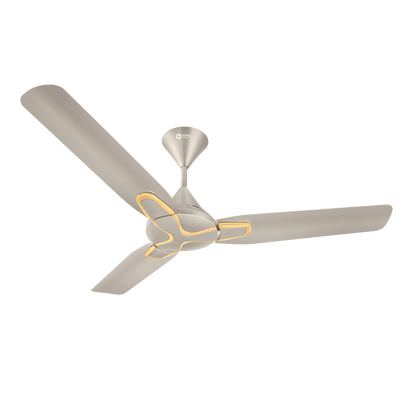 1200mm, Maple Gold