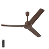 Ceiling Fans