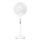 Signal White