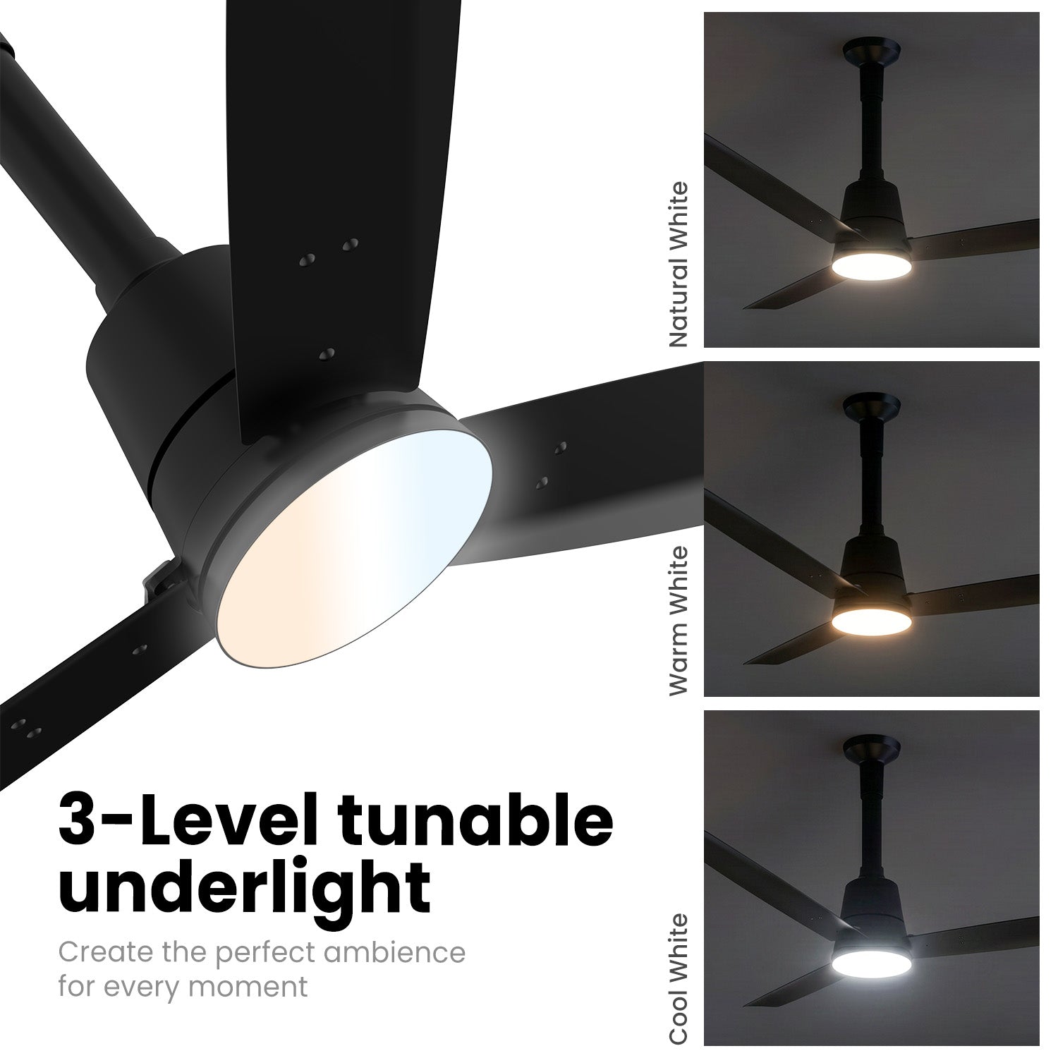 PROTON UL BLDC Fan black 1200 mm with led under light and 3 level tunable underlight options