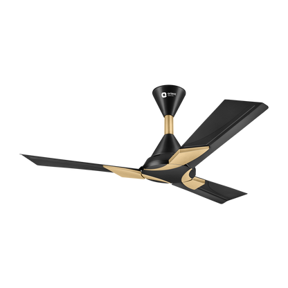 1200MM Metallic Black Gold
