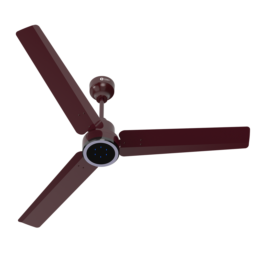 1200MM Brown