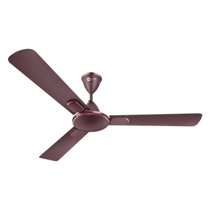 Blanco Decorative Ceiling Fan | 2-Year Warranty