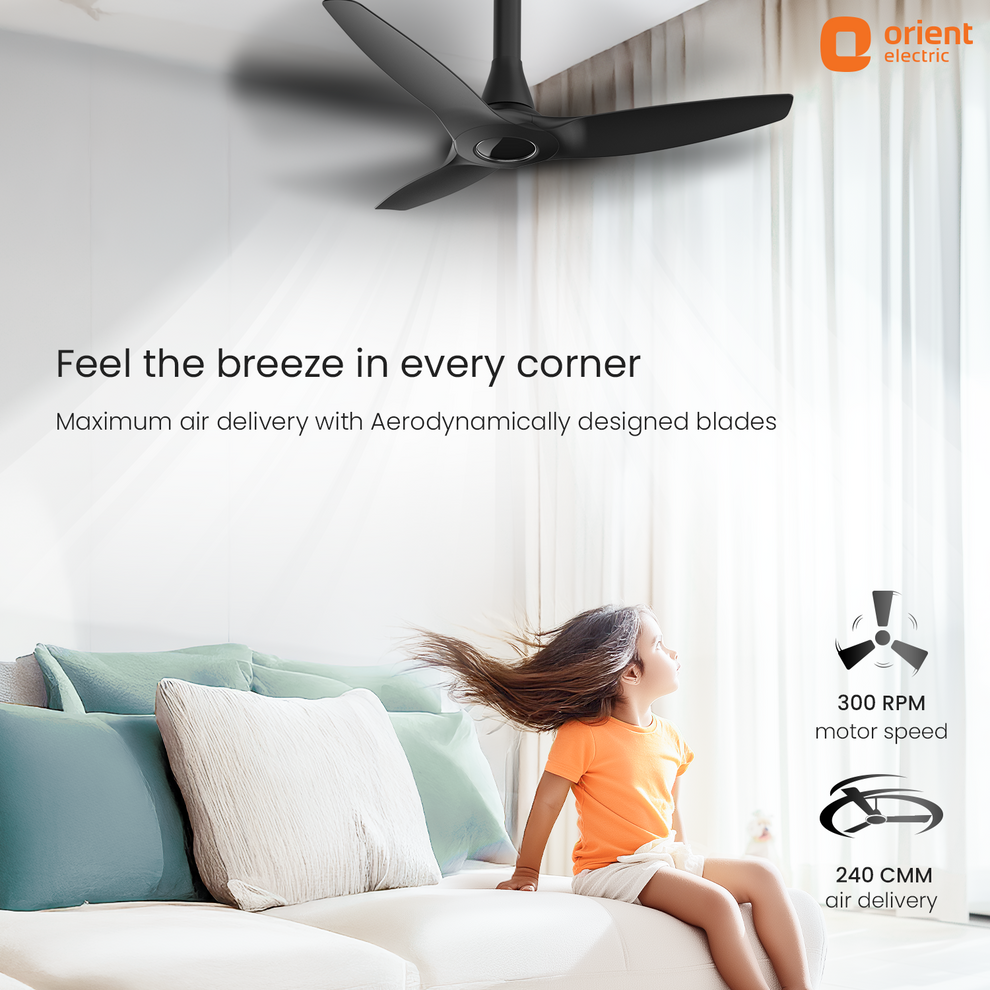 1230MM Matt Black Orient BLDC Fan