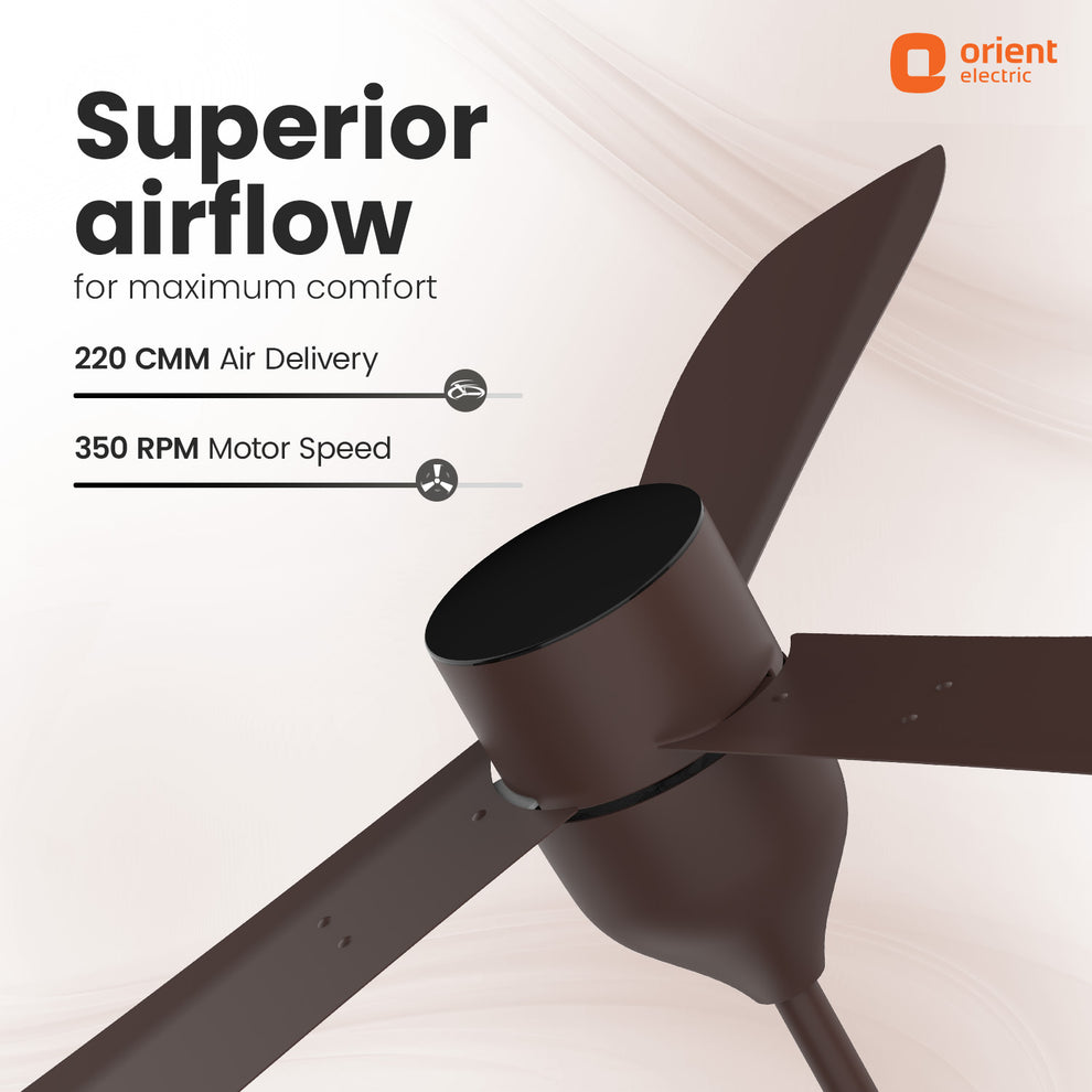 Chocolate Brown Ecotech Slim