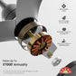 1200MM Cloud Grey Aerosilent BLDC Ceiling Fan Orient