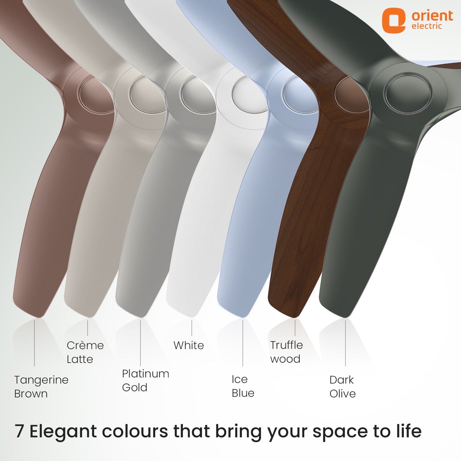 1230MM Tangerine Brown