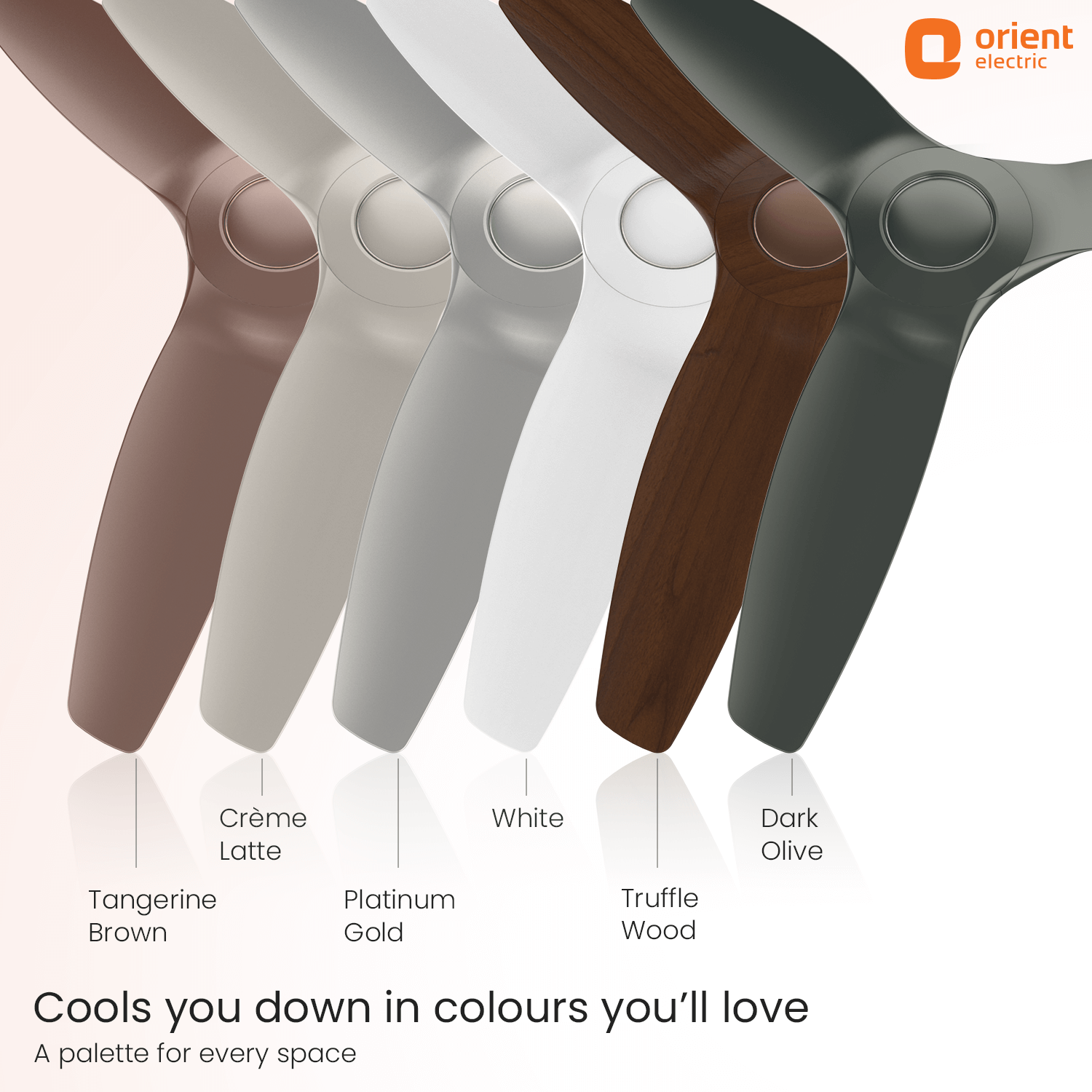 1230MM Creme Latte
