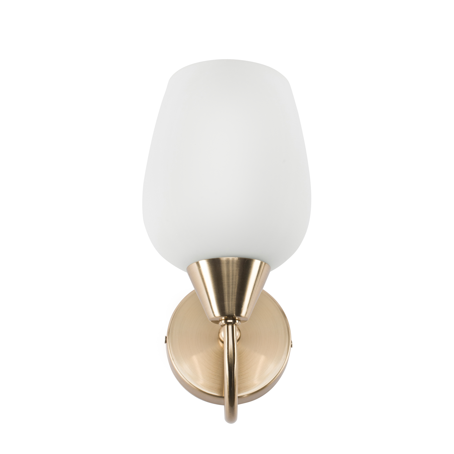 Raya Curve Single Light