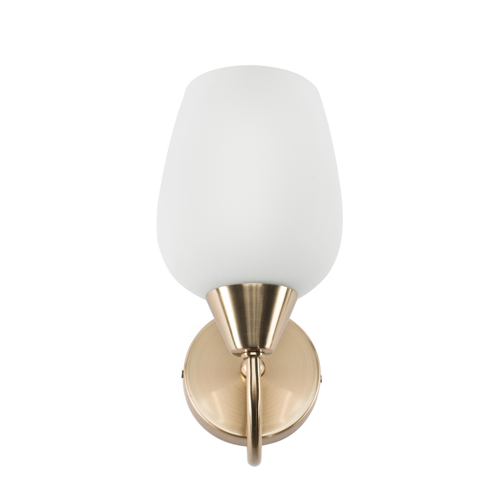 Raya Curve Single Light