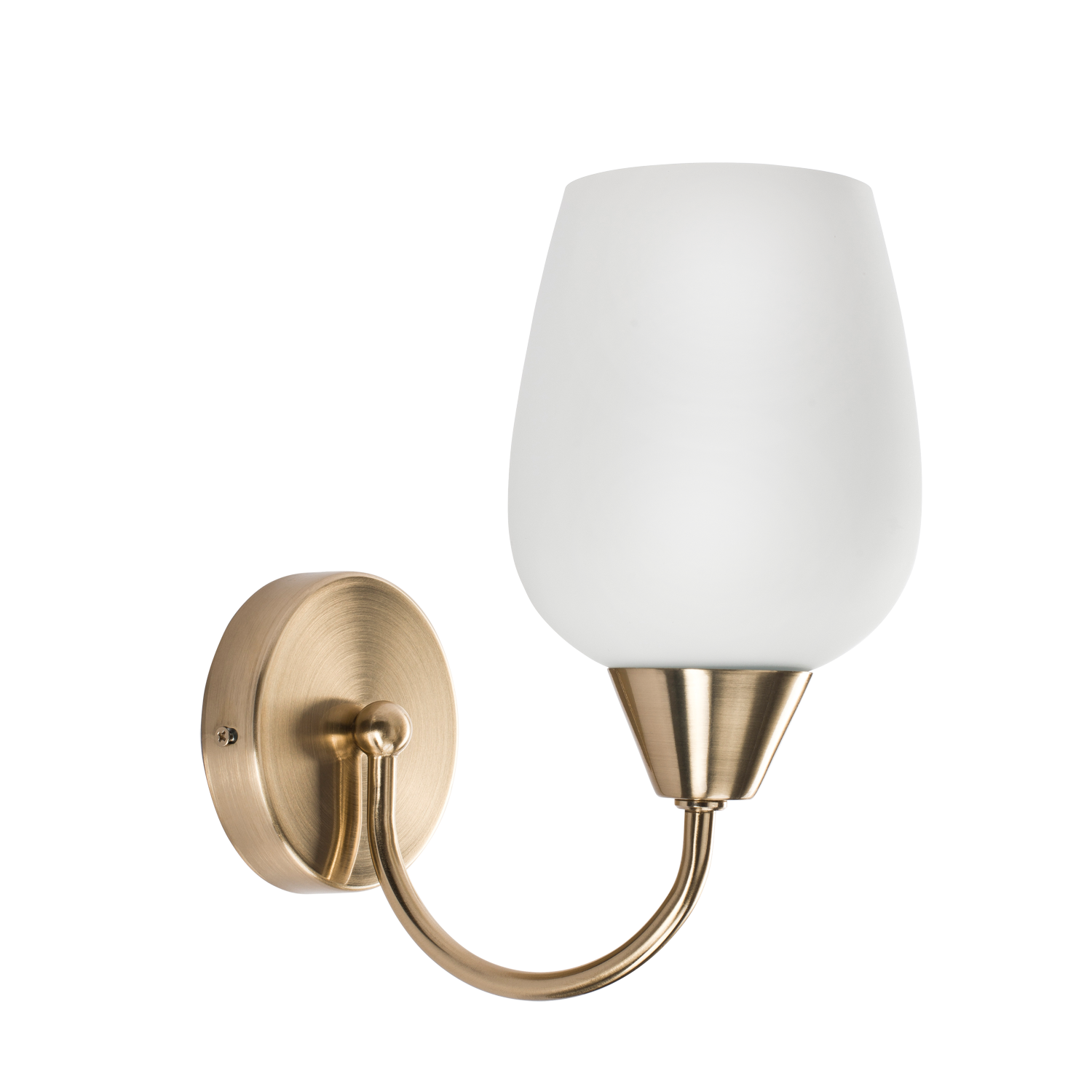 Raya Curve Single Light