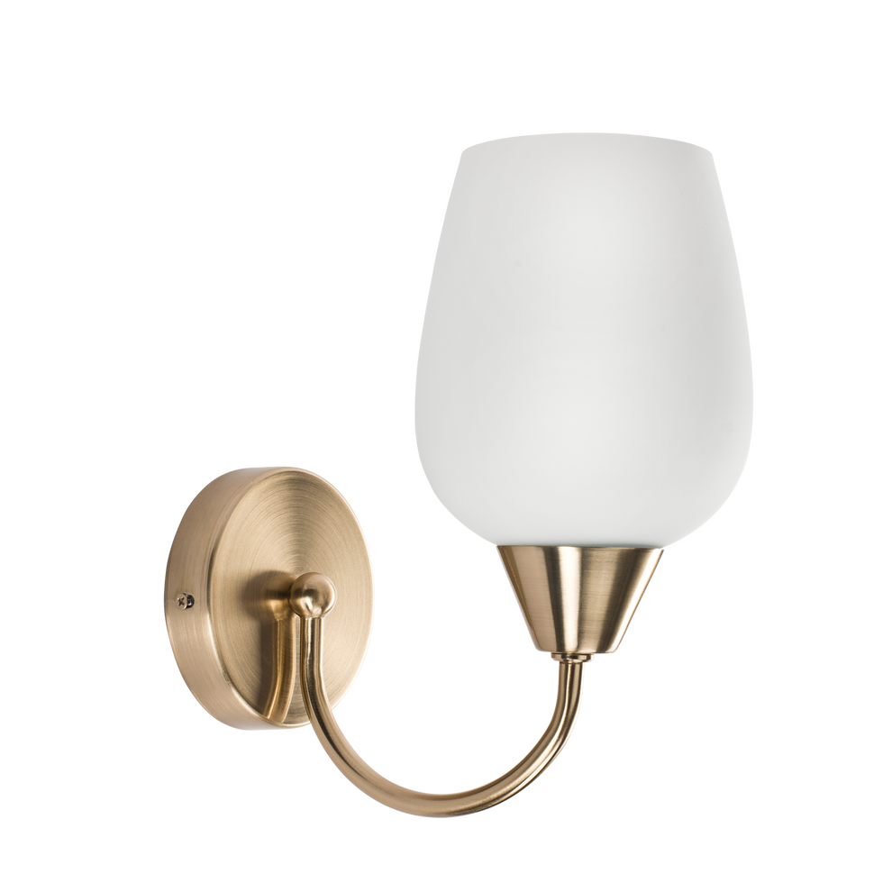 Raya Curve Single Light