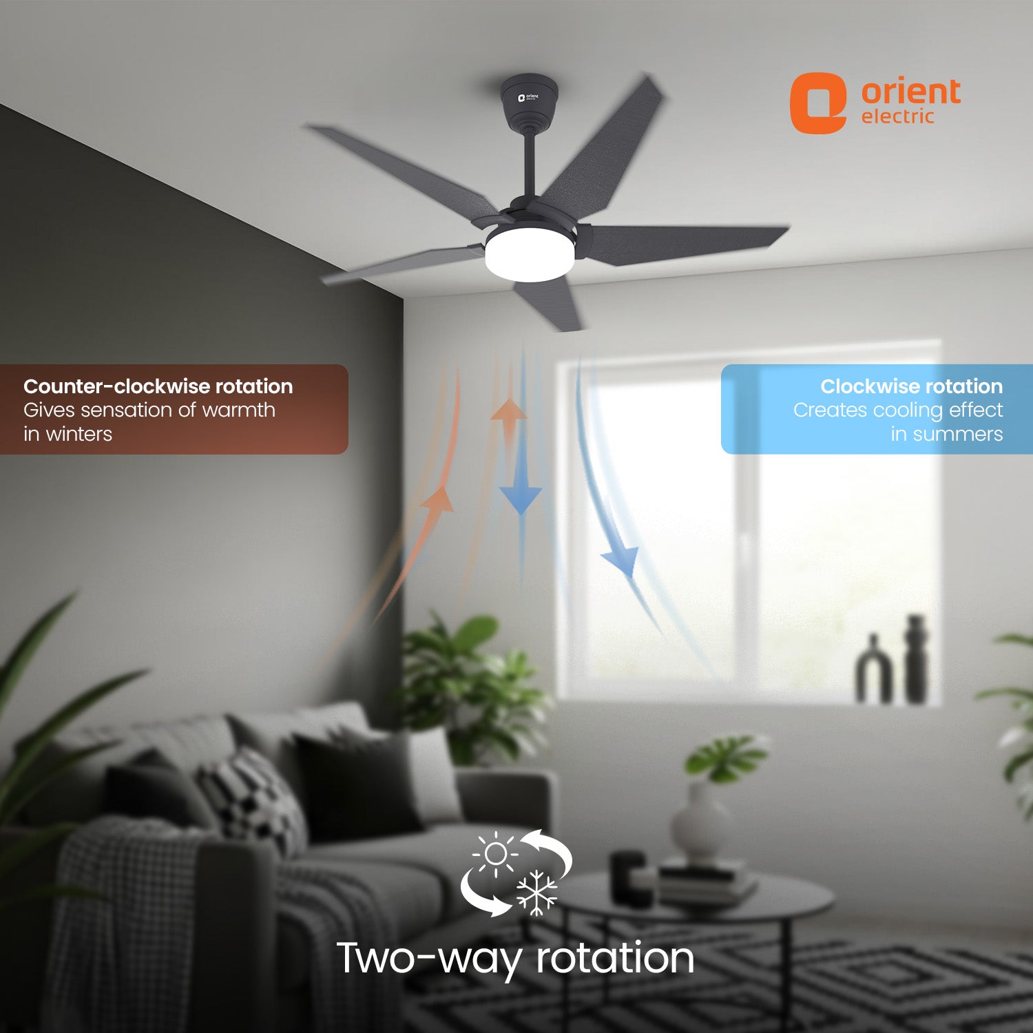 1320MM Underlight BLDC Ceiling Fan 5 Blade Orient 2 Way Rotation